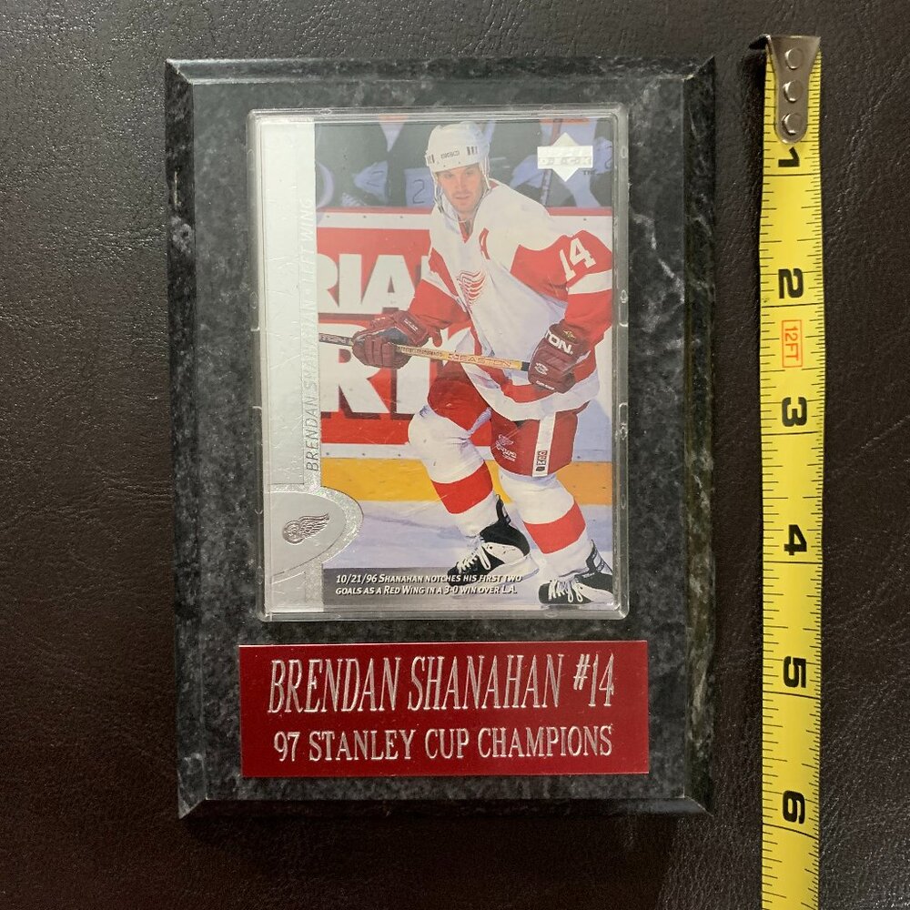 Detroit Red Wings plaque framed trading card